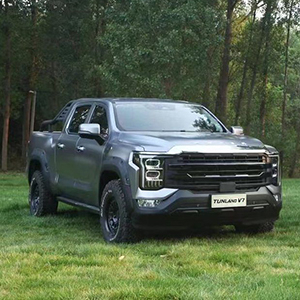 Оклейка полиуретановой пленкой  Foton Tunland V7
